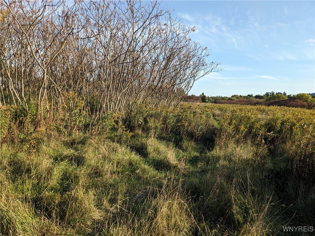 0 Riverside Drive Scio, NY 14880 - Photo 14 of 19