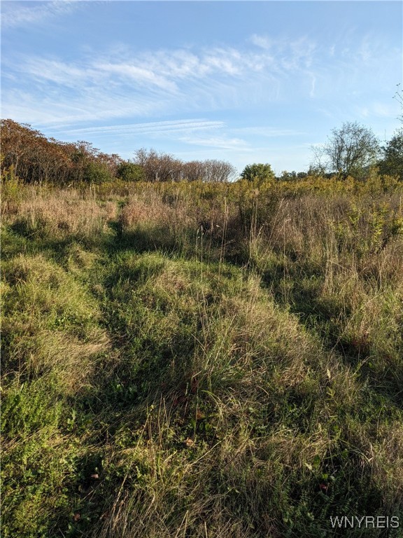 0 Riverside Drive Scio, NY 14880 - Photo 16 of 19