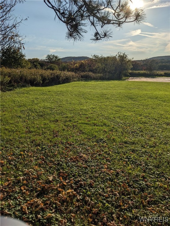 0 Riverside Drive Scio, NY 14880 - Photo 17 of 19