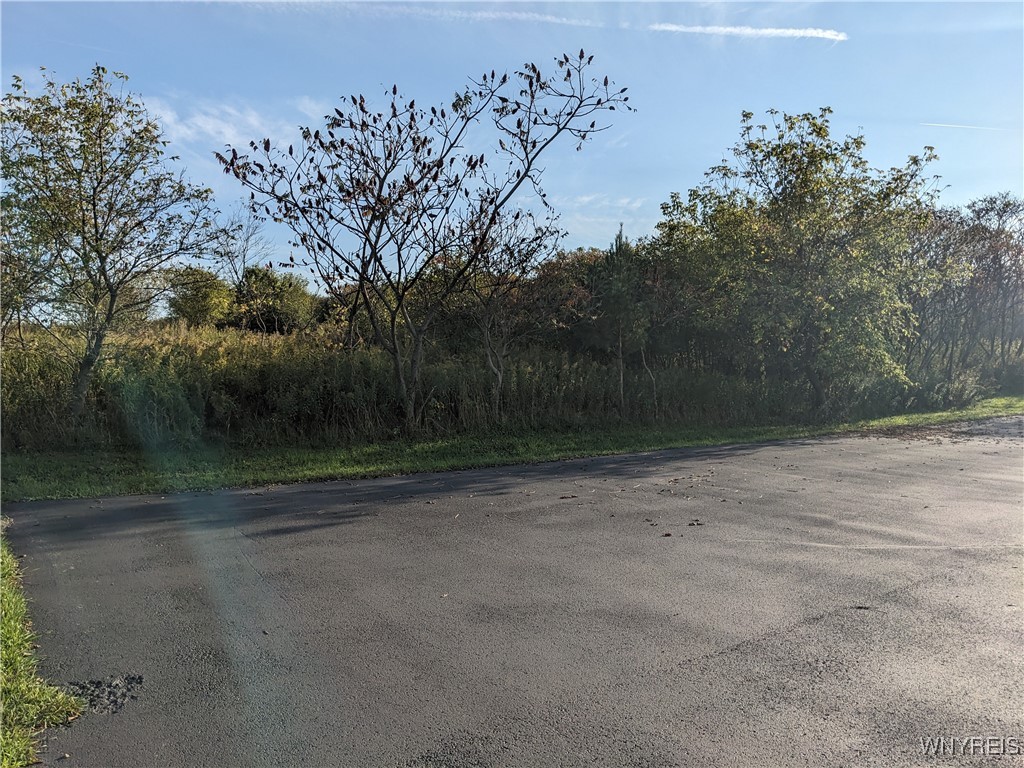 0 Riverside Drive Scio, NY 14880 - Photo 18 of 19