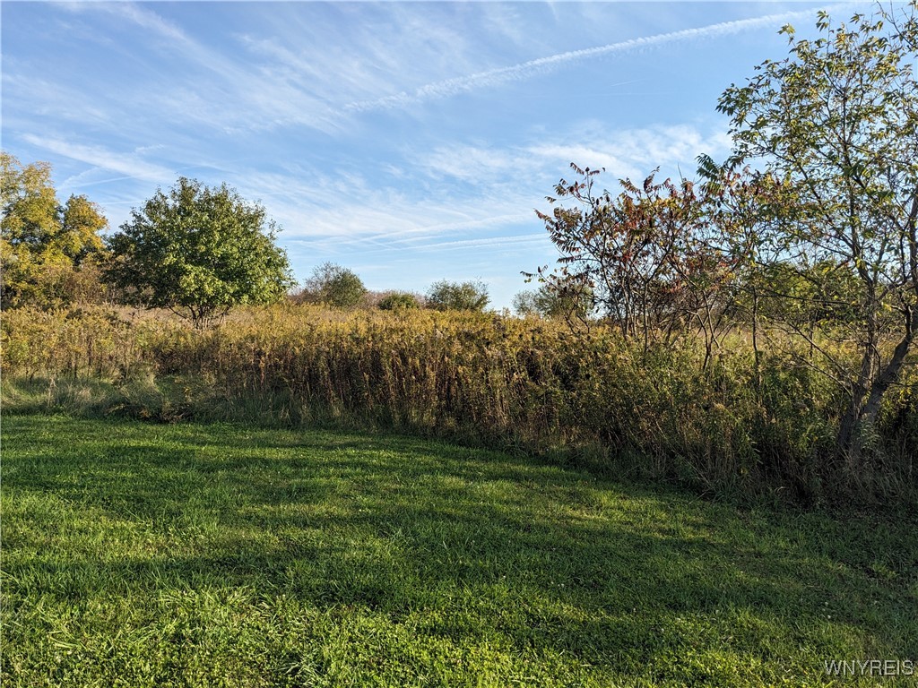 0 Riverside Drive Scio, NY 14880 - Photo 19 of 19