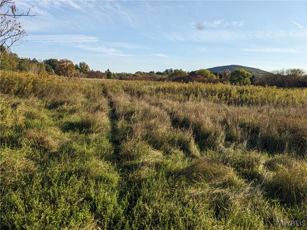 0 Riverside Drive Scio, NY 14880 - Photo 2 of 19