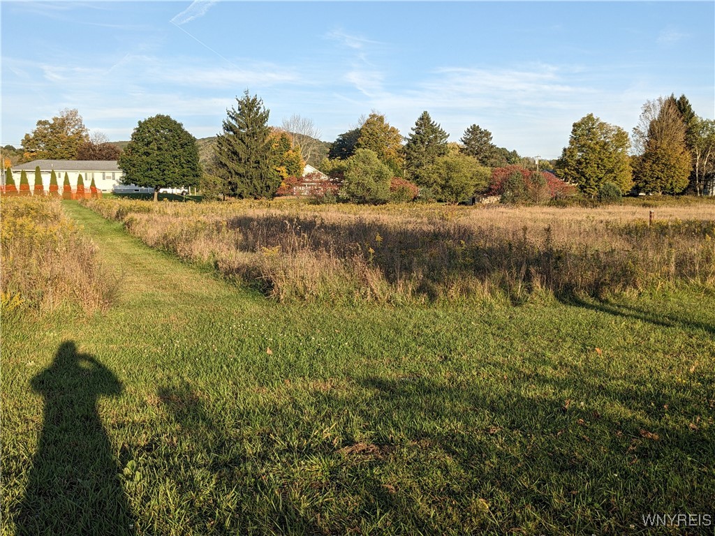 0 Riverside Drive Scio, NY 14880 - Photo 4 of 19