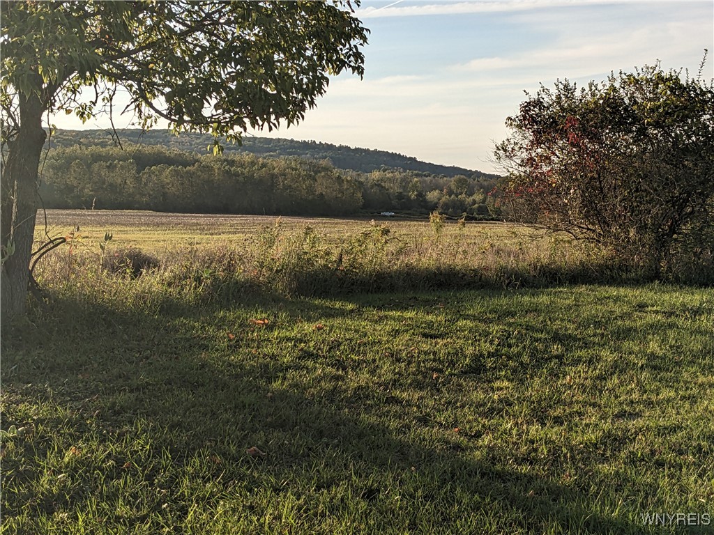 0 Riverside Drive Scio, NY 14880 - Photo 5 of 19