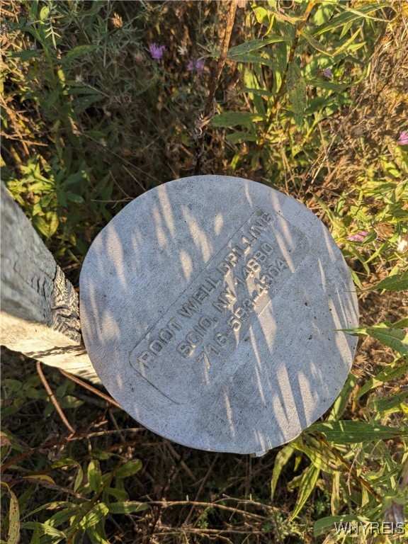 0 Riverside Drive Scio, NY 14880 - Photo 7 of 19