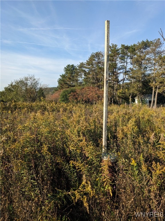 0 Riverside Drive Scio, NY 14880 - Photo 8 of 19