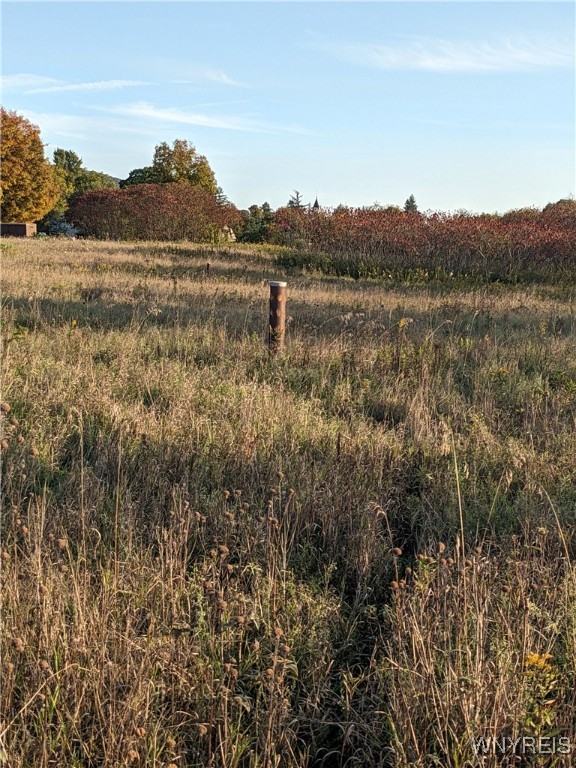 0 Riverside Drive Scio, NY 14880 - Photo 9 of 19