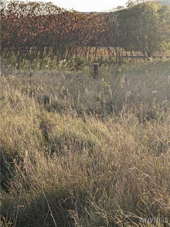 0 Riverside Drive Scio, NY 14880 - Photo 10 of 19