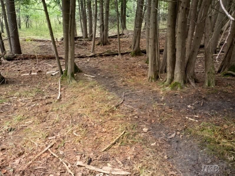 35.11-acres North Hockaday Road Gladwin, MI 48624 - Photo 36 of 83 Gallery Image 36