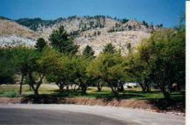 Lot #7 Foothill Road Gardnerville, NV 89460 - Photo 3 of 5 Photo 3