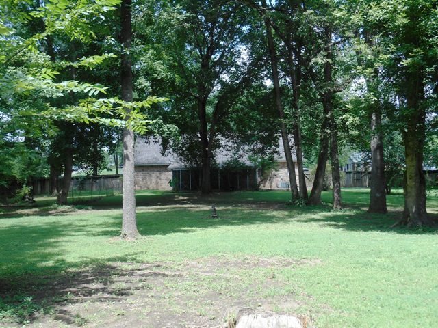 393 Rae Drive Munford, TN 38058 - Photo 22 of 22