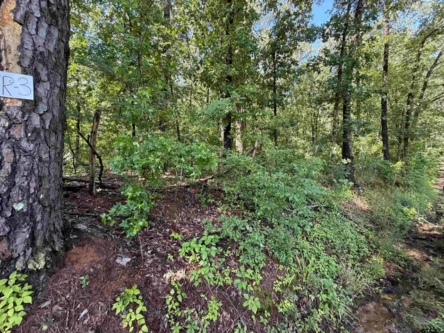 a view of a large yard with lots of green space