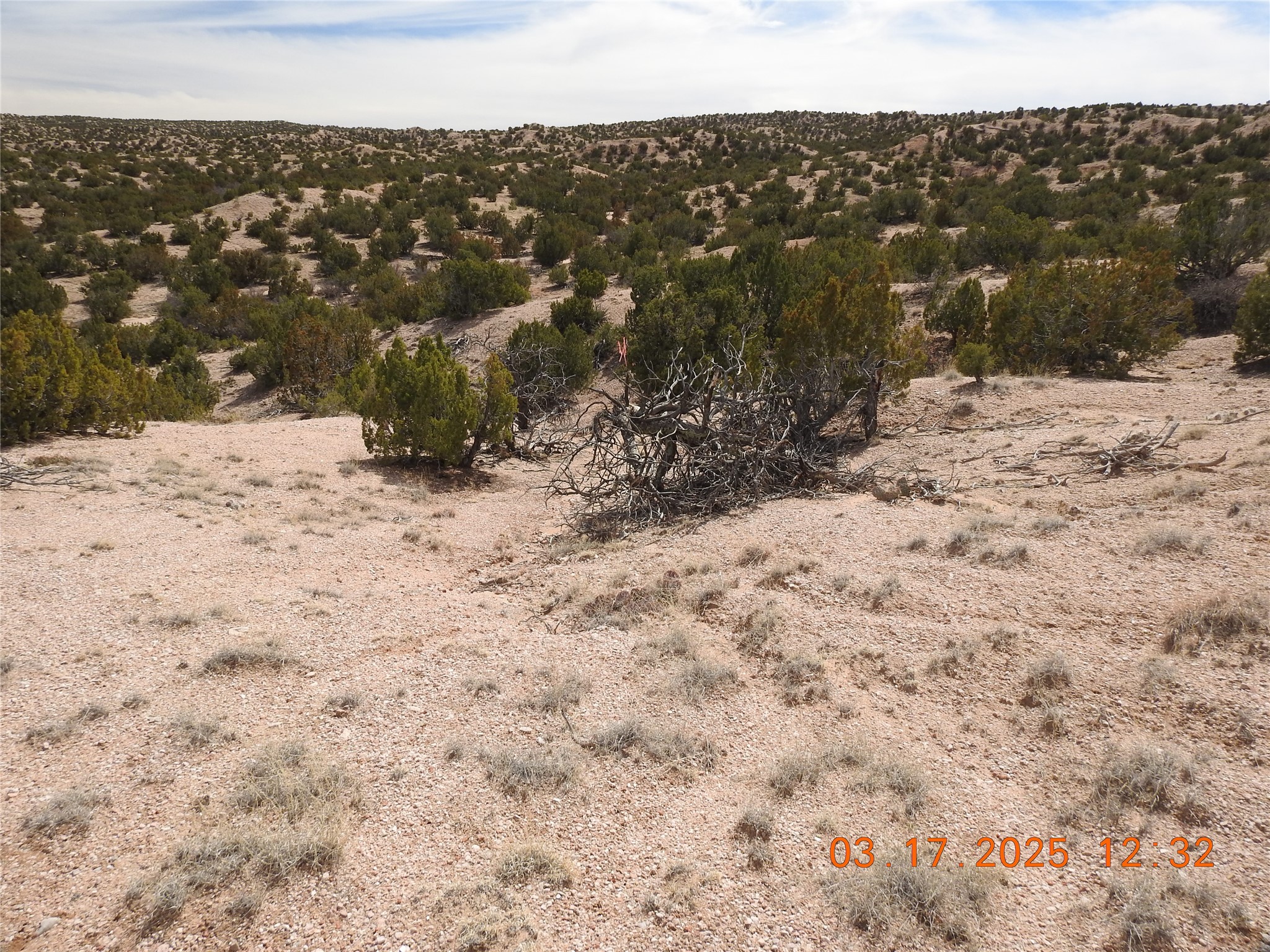 0 Wildass Road Santa Fe, NM 87506 - Photo 25 of 26