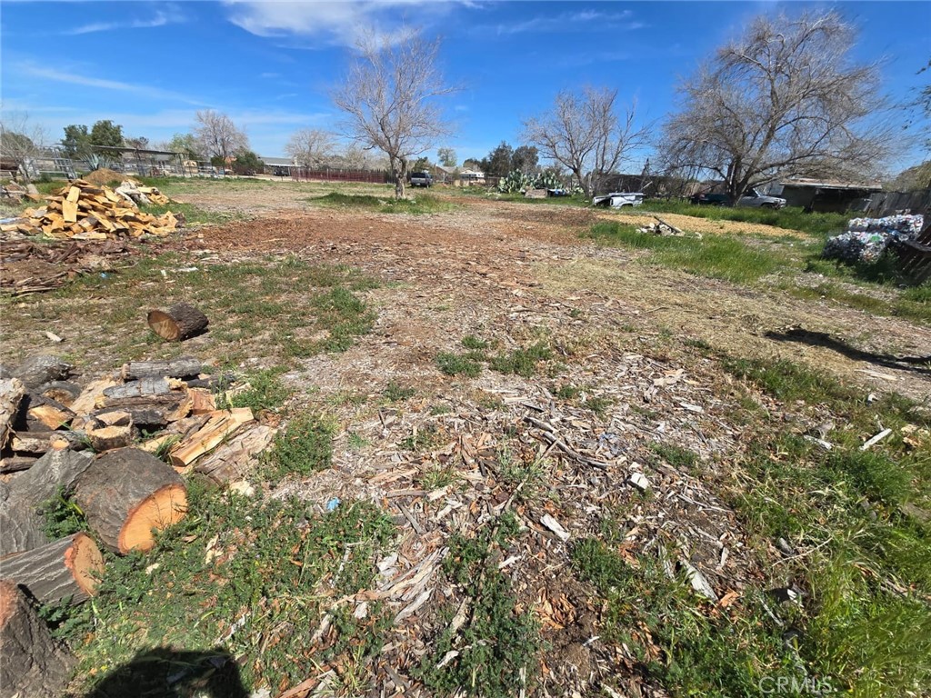 9249 East Ave R 10 Littlerock, CA 93543 - Photo 4 of 14