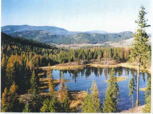 3512 Little Sweden Road Valley, WA 99181 - Photo 1 of 4