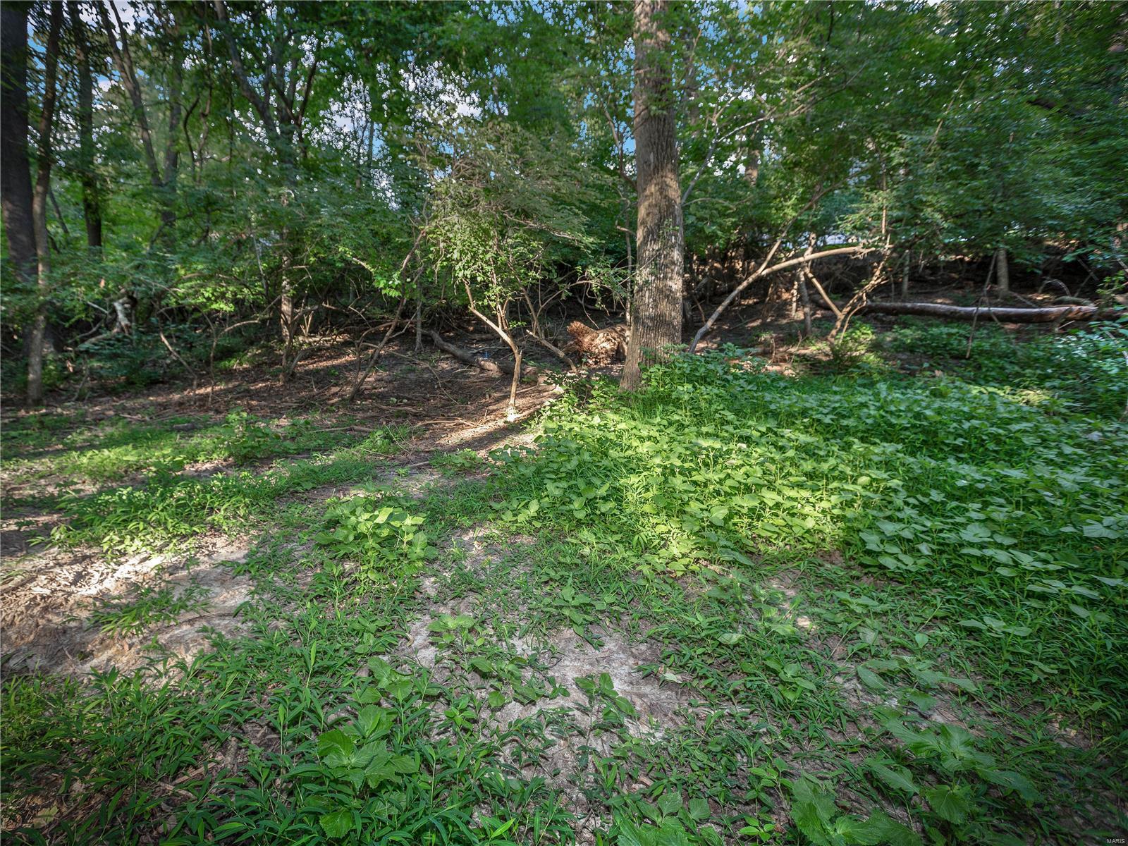 9 Ginger Ridge Court Glen Carbon, IL 62034 - Photo 12 of 56