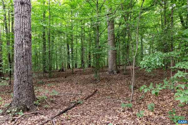 $110,000 | Lot 68 Palmer Place, Ruckersville, VA 22968