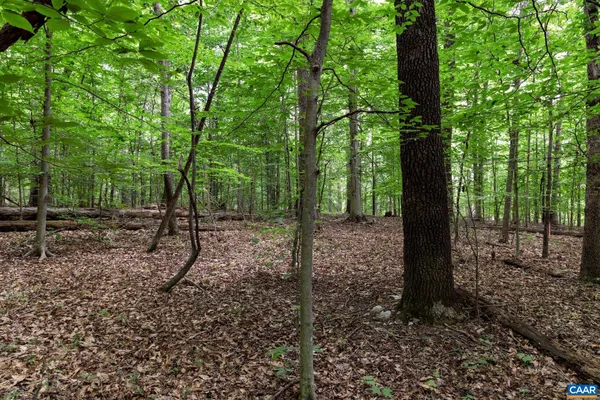 $110,000 | Lot 68 Palmer Place, Ruckersville, VA 22968