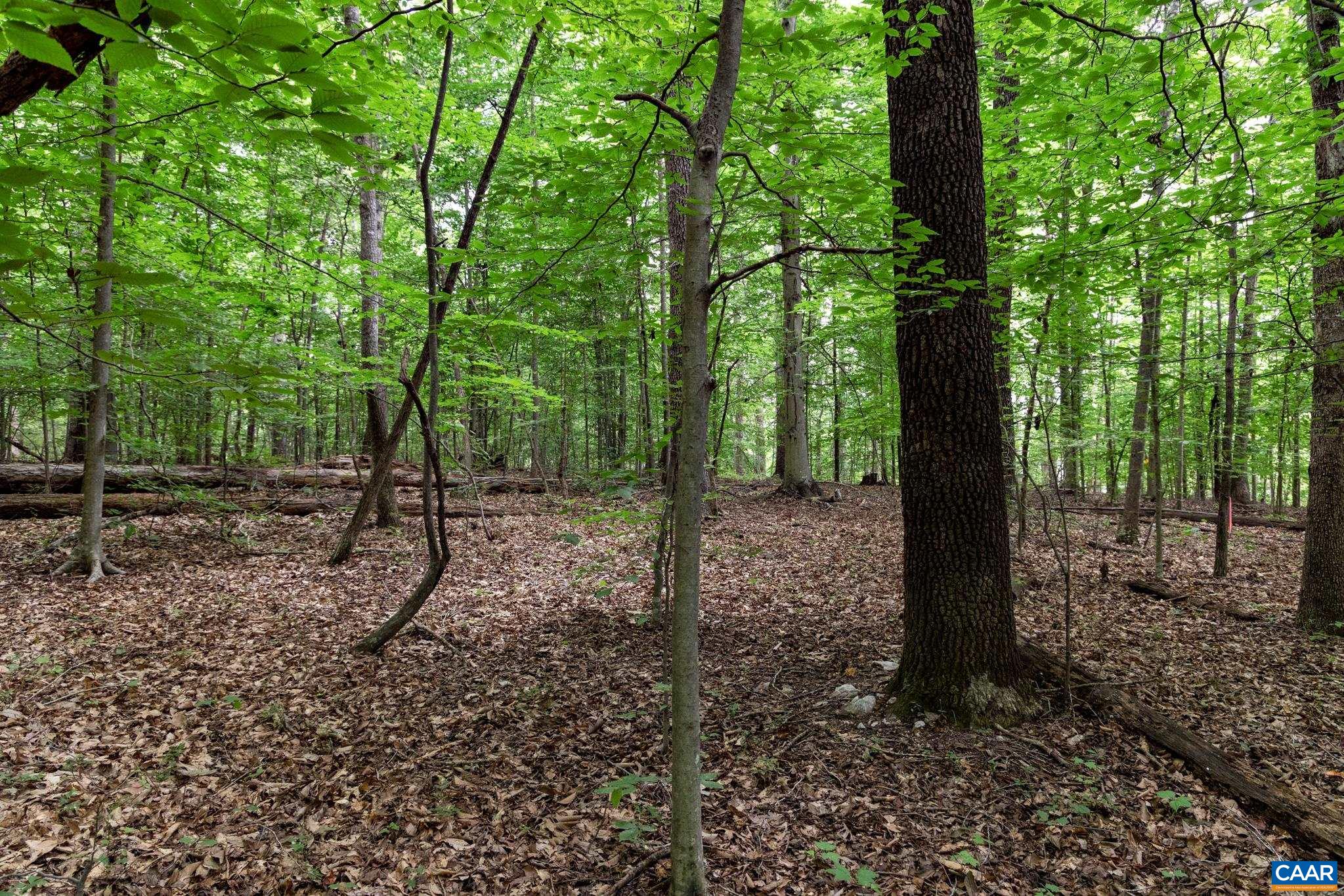 Lot 68 Palmer Place Ruckersville, VA 22968 - Photo 7 of 15