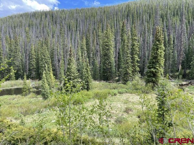 766 Rd Pitkin Co 81241 Road Ohio City, CO 81237 - Photo 5 of 18