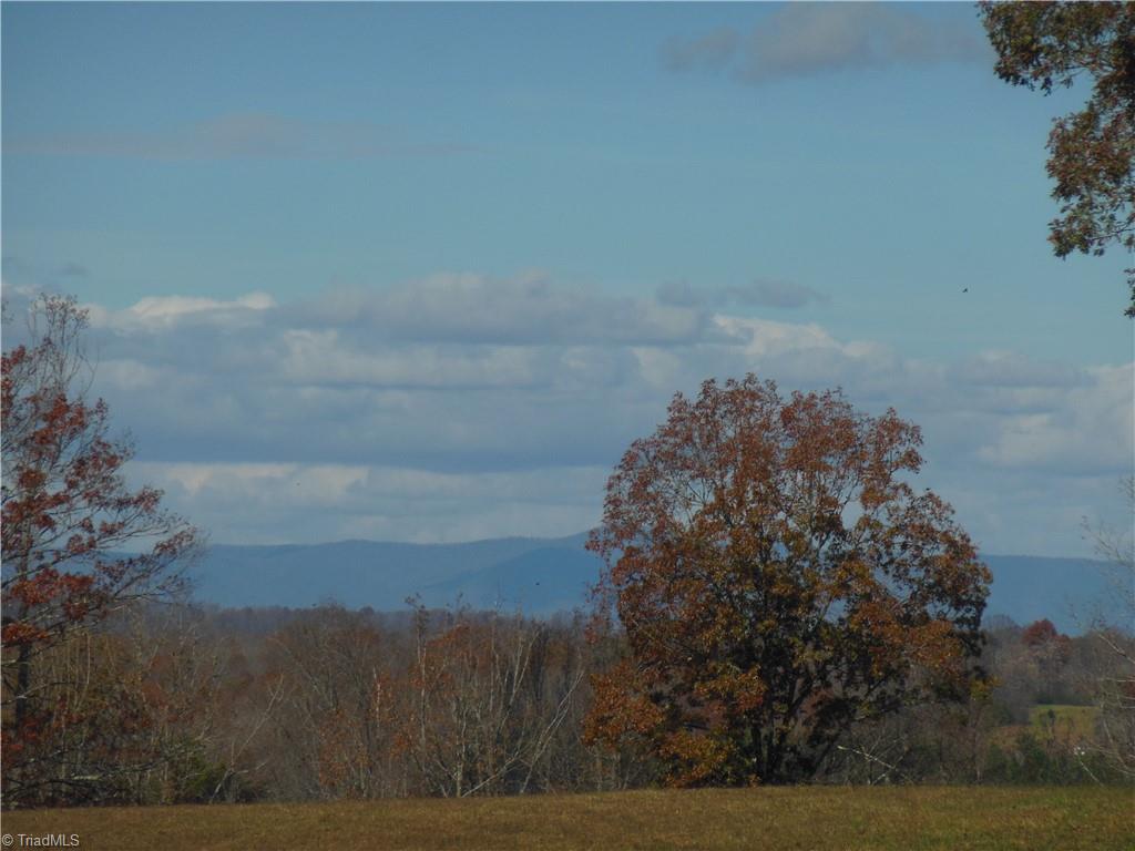 1640 Phillips Road Sandy Ridge, NC 27046 - Photo 15 of 20 Long range view of the Blue Ridge
