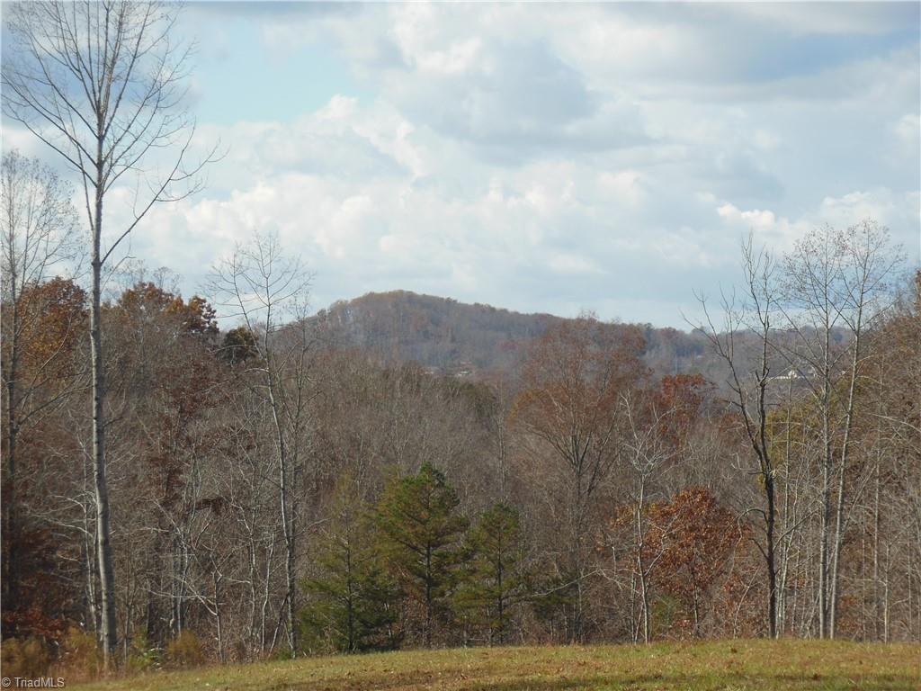 1640 Phillips Road Sandy Ridge, NC 27046 - Photo 16 of 20