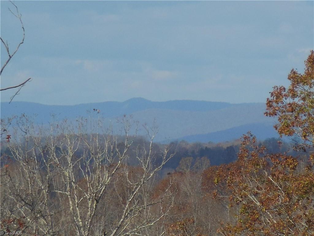 1640 Phillips Road Sandy Ridge, NC 27046 - Photo 17 of 20