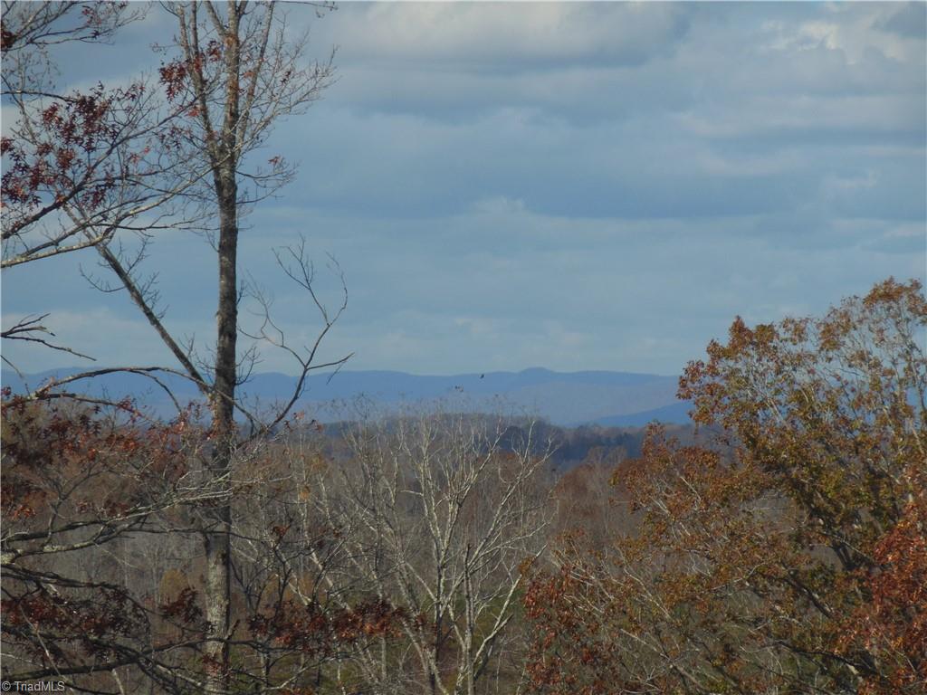 1640 Phillips Road Sandy Ridge, NC 27046 - Photo 18 of 20