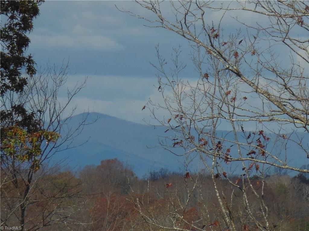 1640 Phillips Road Sandy Ridge, NC 27046 - Photo 20 of 20
