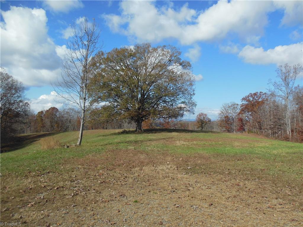 1640 Phillips Road Sandy Ridge, NC 27046 - Photo 2 of 20 Behind the bungalow