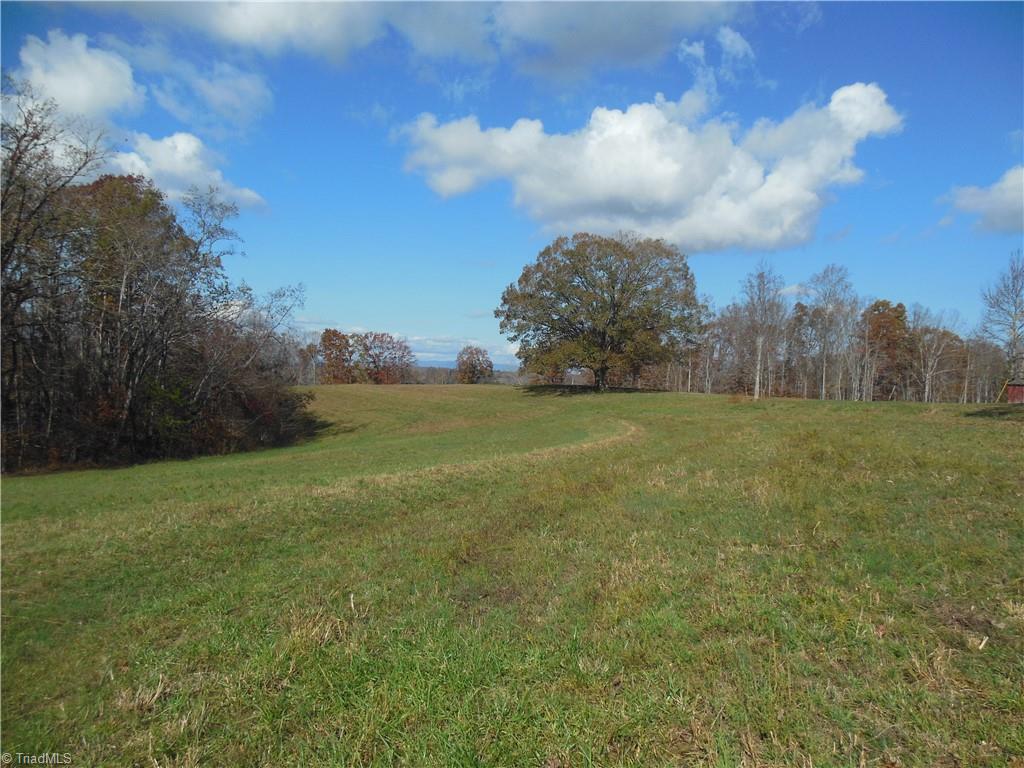 1640 Phillips Road Sandy Ridge, NC 27046 - Photo 3 of 20 Left and back of bungalow