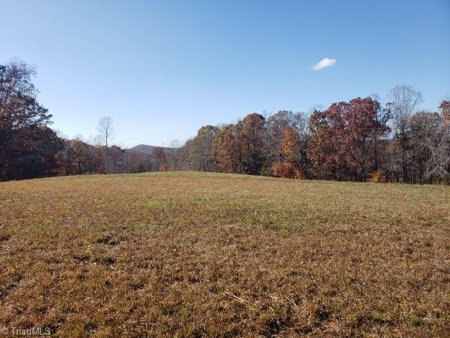 1640 Phillips Road Sandy Ridge, NC 27046 - Photo 4 of 20 From the fields in back of the bungalow you can catch a glimpse of the Sauratown Mountains.