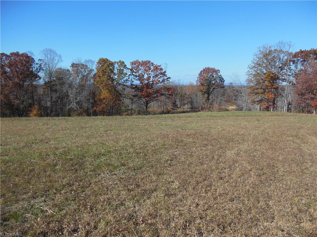 1640 Phillips Road Sandy Ridge, NC 27046 - Photo 5 of 20 Long range views in back of Blue Ridge Mountains.