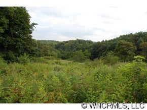700 S Jupiter Road Weaverville, NC 28787 - Photo 10 of 10 Gallery Image 10
