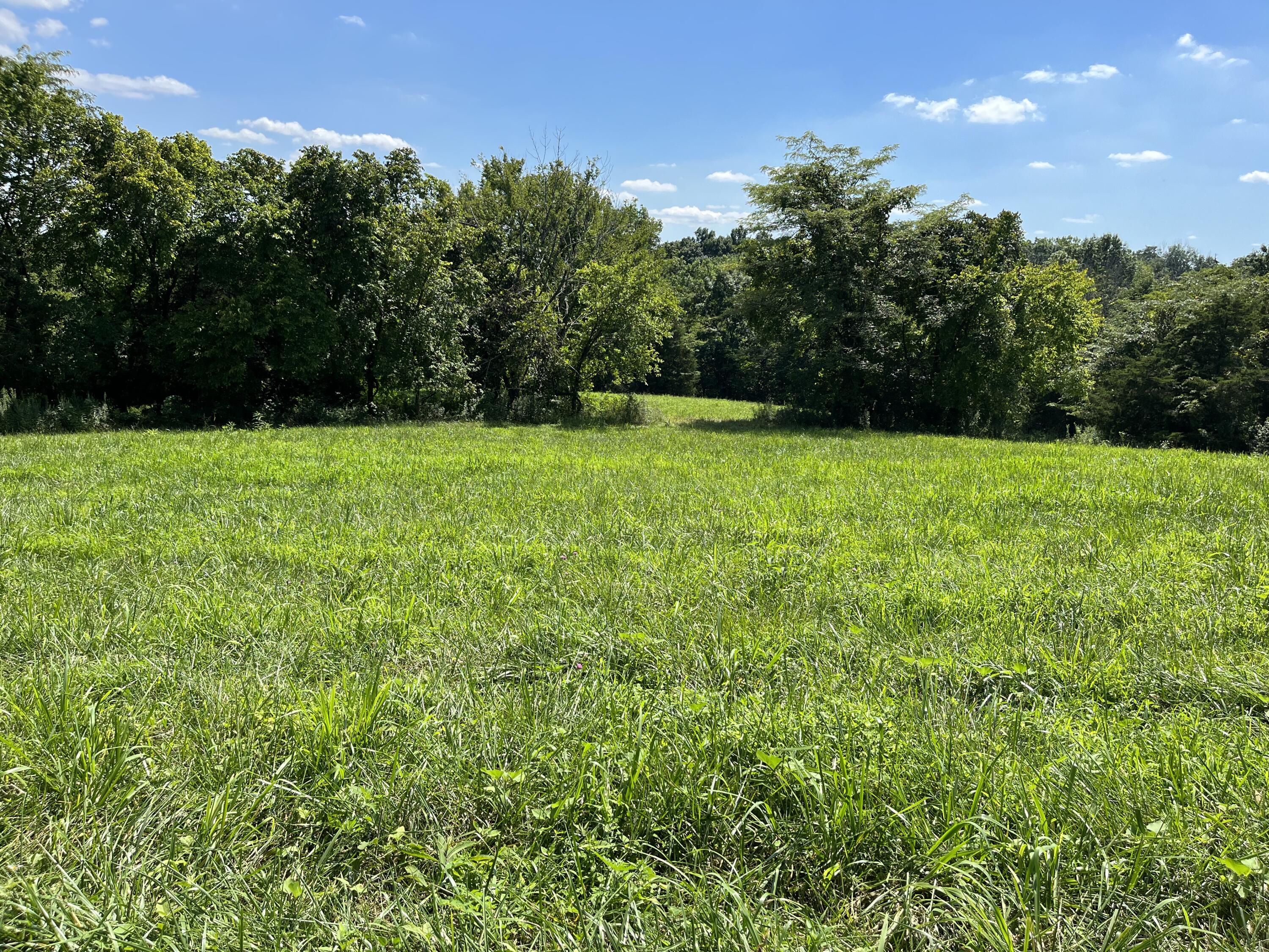 9999 Sugar Grove Road Owingsville, KY 40360 - Photo 1 of 13 6757542F-B89F-4C5E-BFF3-80DD79F8150E