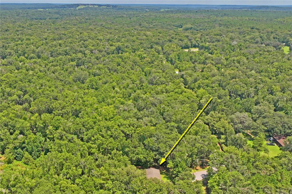 19353 Campground Road Brooksville, FL 34601 - Photo 44 of 55 Gallery Image 44