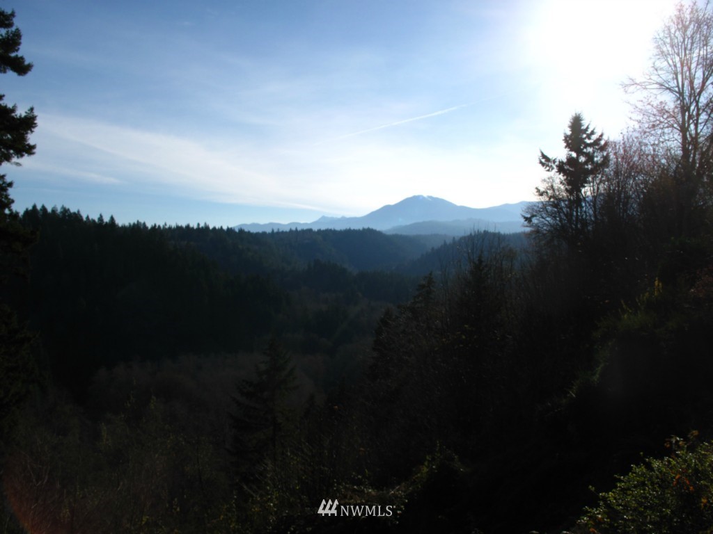 223 Mt Pleasant Estates Road Port Angeles, WA 98362 - Photo 25 of 25 Gallery Image 25
