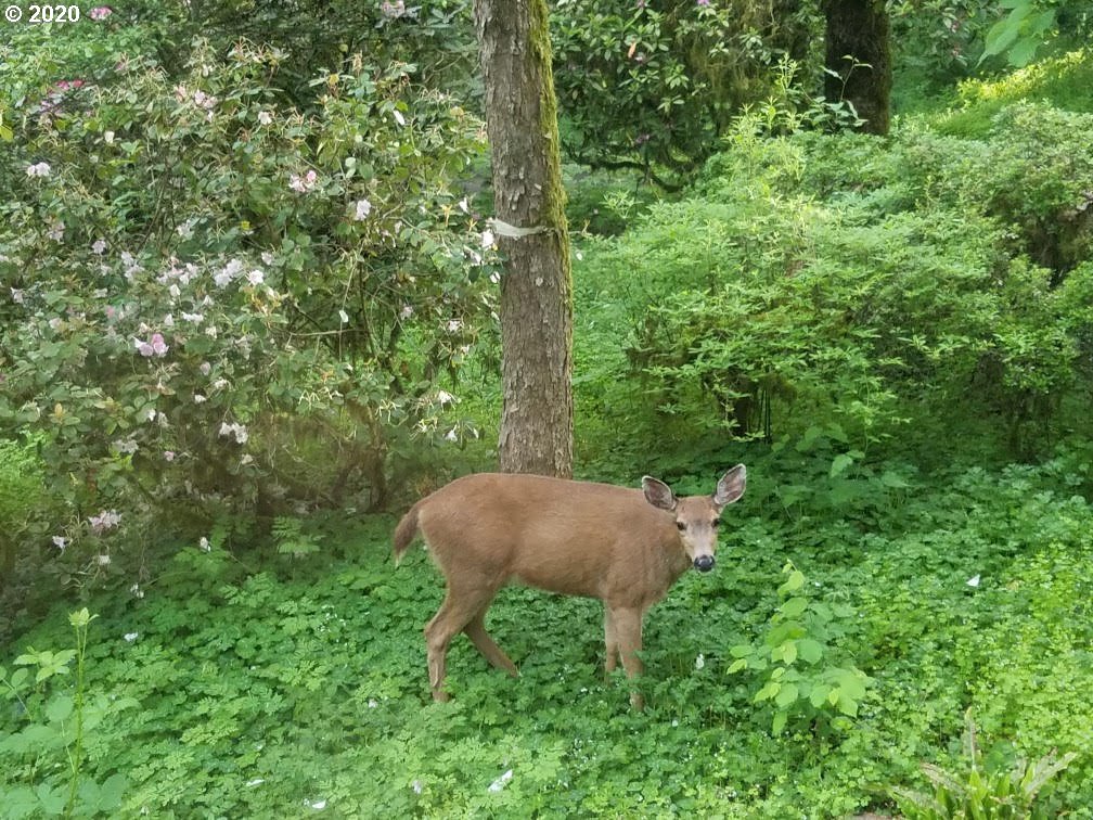 357 Rees Hill Road Southeast Salem, OR 97306 - Photo 30 of 31