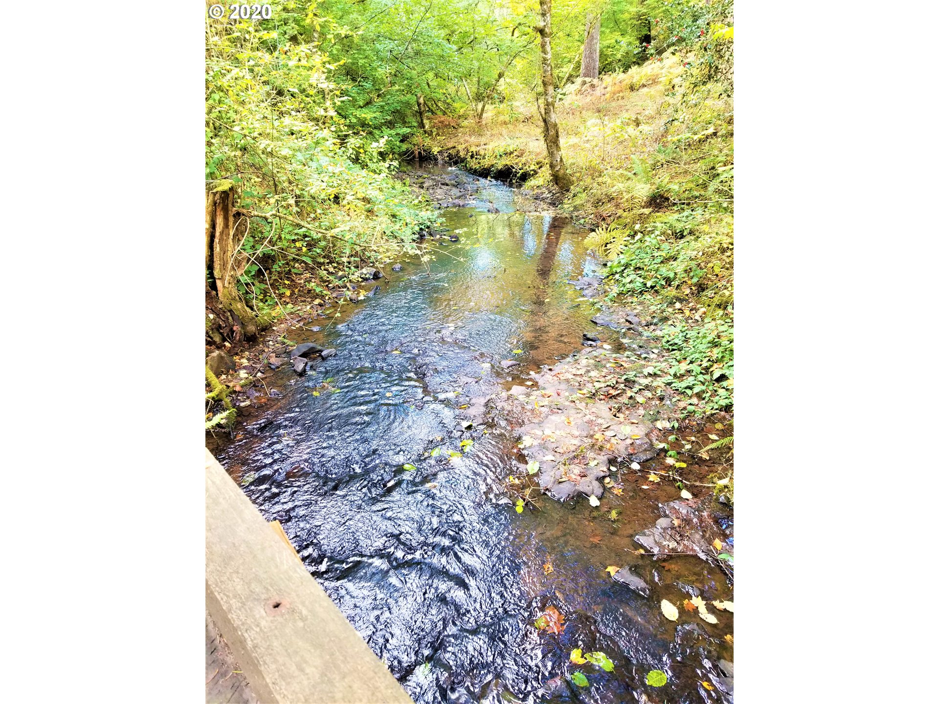 357 Rees Hill Road Southeast Salem, OR 97306 - Photo 8 of 31