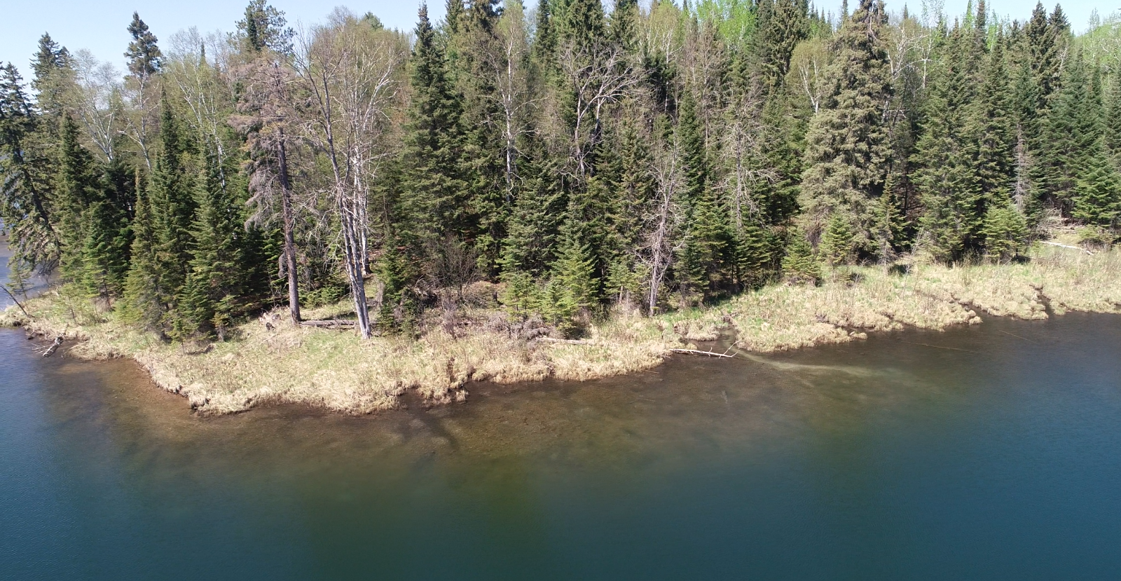 Lot 1 Matt Zimmer Road Bigfork, MN 56628 - Photo 1 of 1 Gallery Image 1