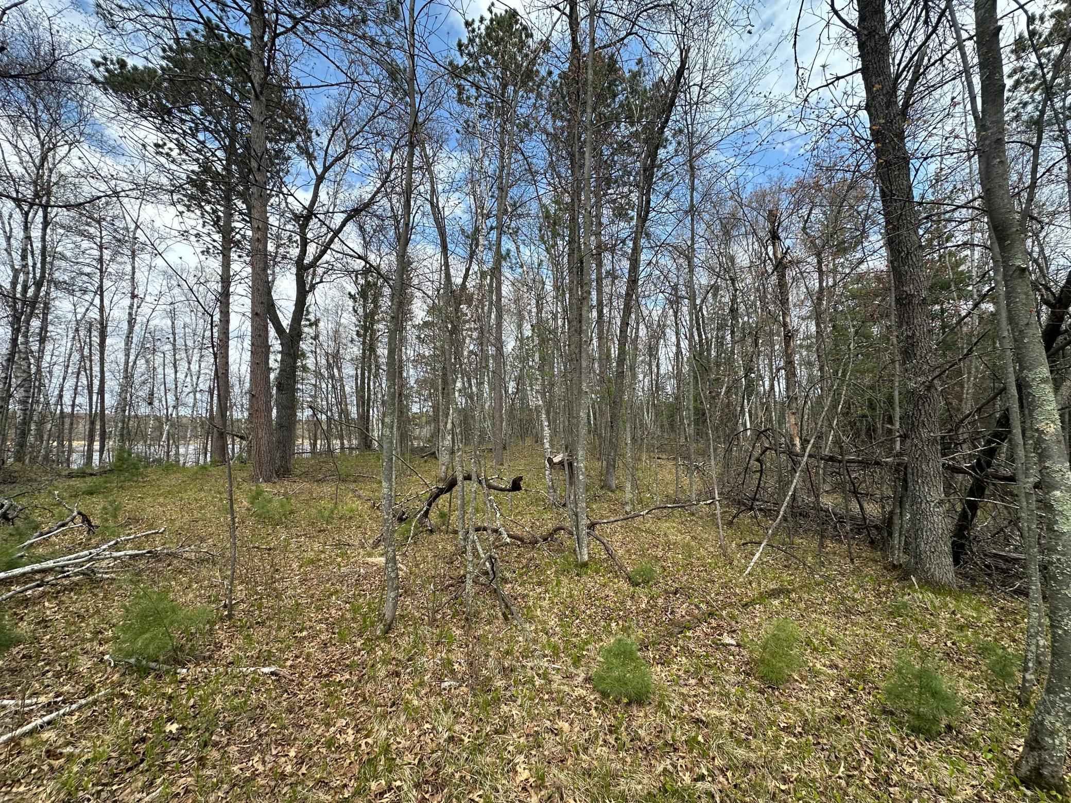 Tbd Dobosenski Road Sturgeon Lake, MN 55783 - Photo 13 of 22