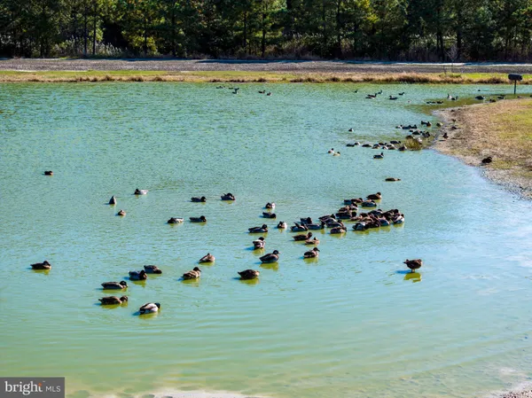 a view of a water and yard
