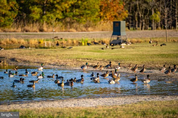 a view of a lake with a yard