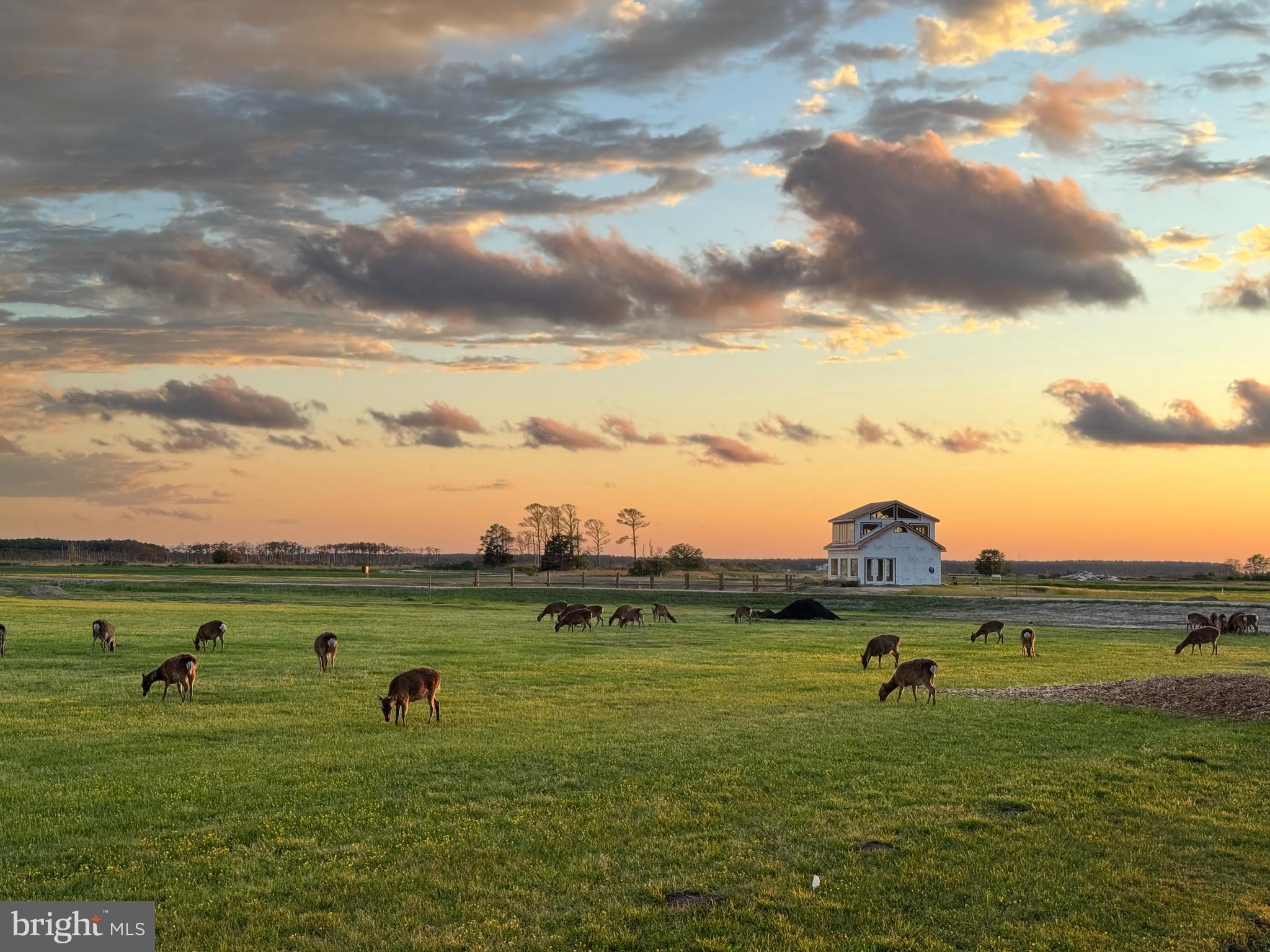 964 Taylors Island Road Madison, MD 21648 - Photo 6 of 106 a view of a lake with a yard