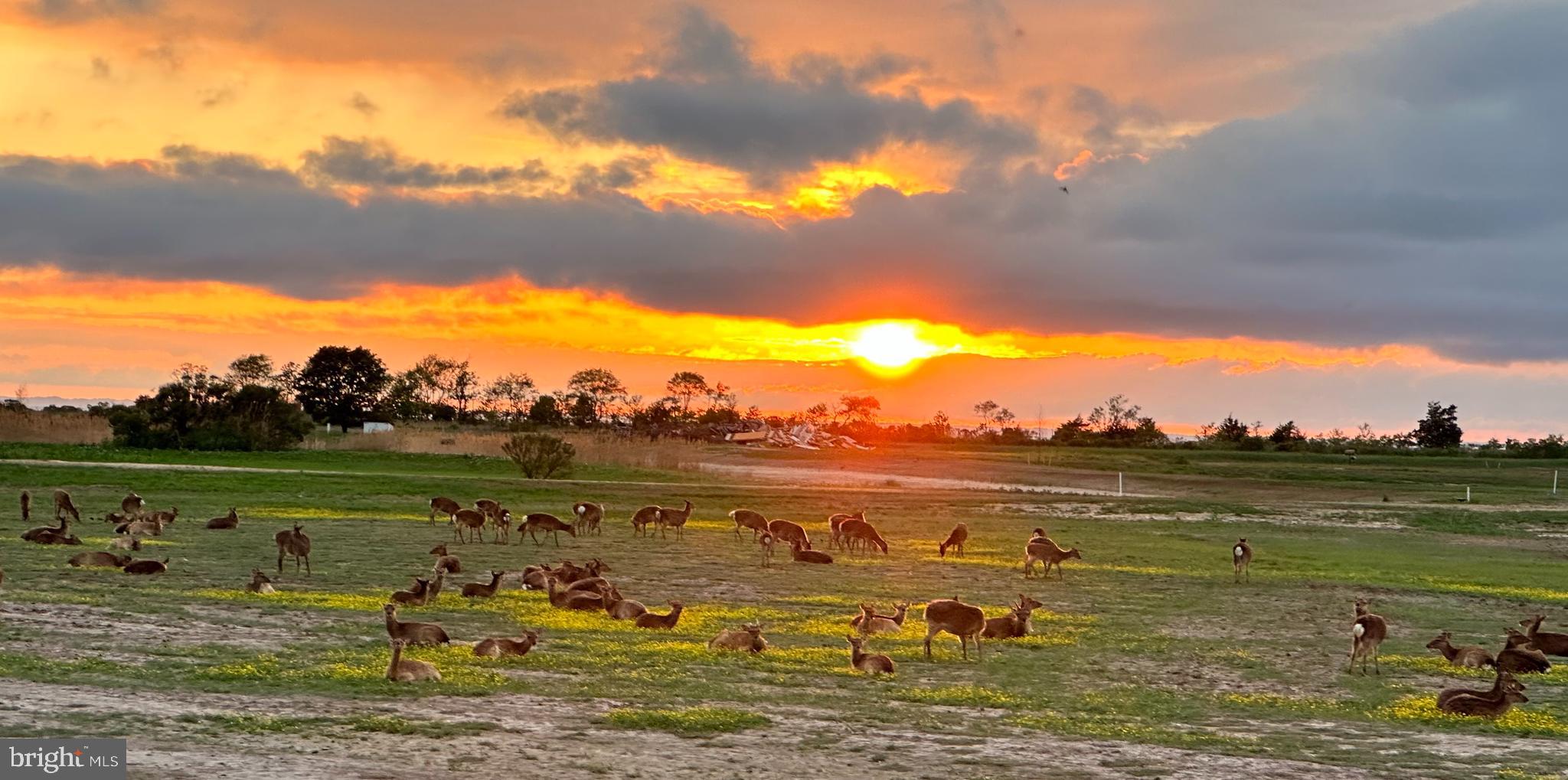 964 Taylors Island Road Madison, MD 21648 - Photo 7 of 106