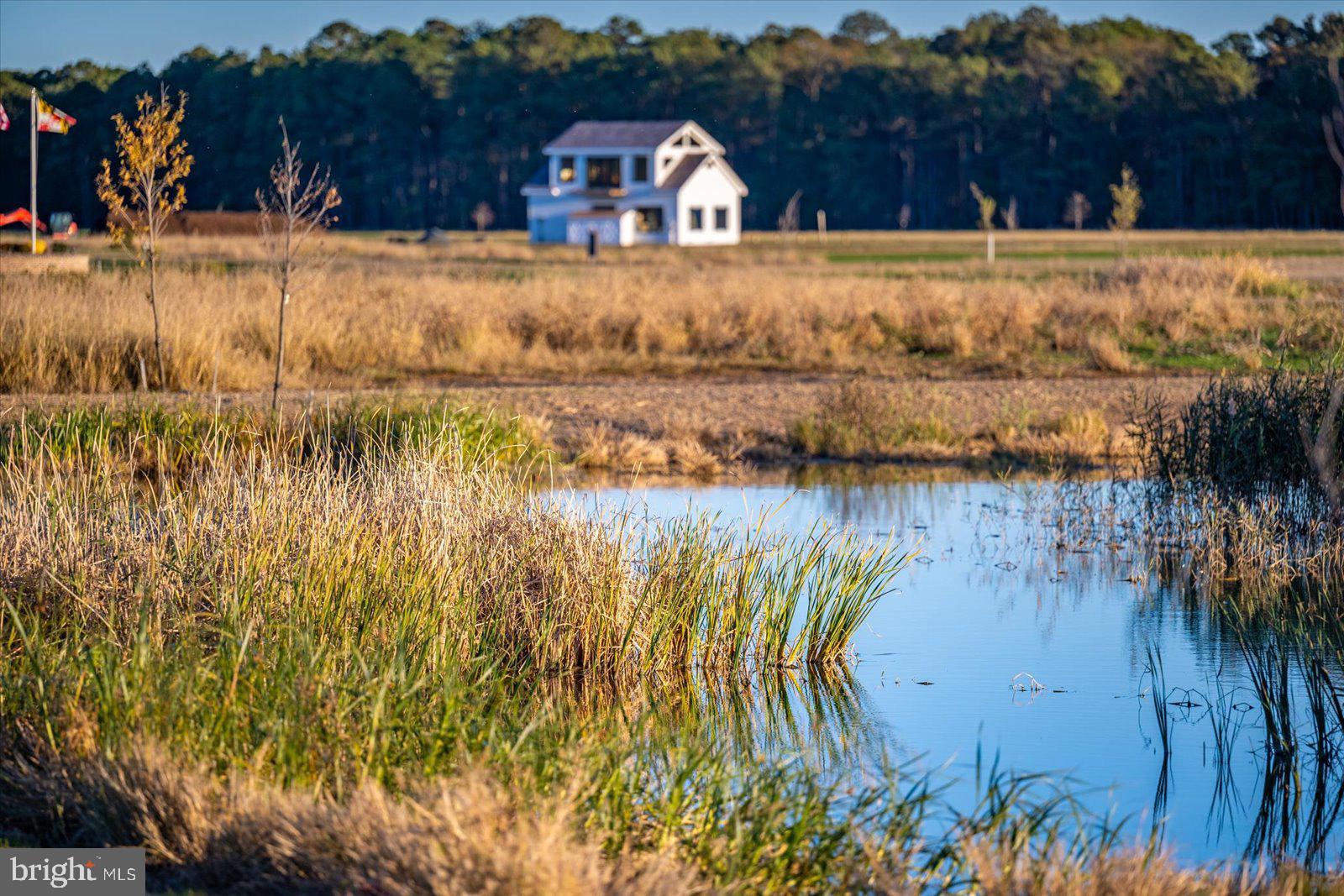 964 Taylors Island Road Madison, MD 21648 - Photo 97 of 106 a view of swimming pool with a yard