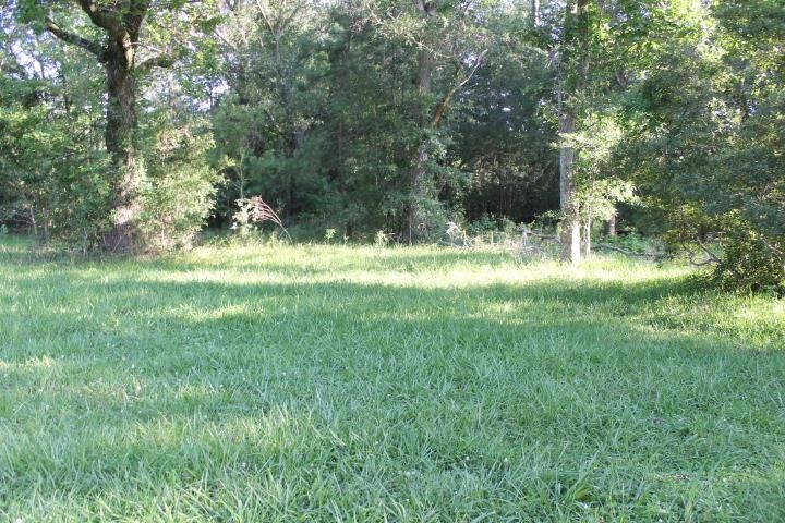875 Woodrow Street Silsbee, TX 77656 - Photo 6 of 30 a view of backyard with green space