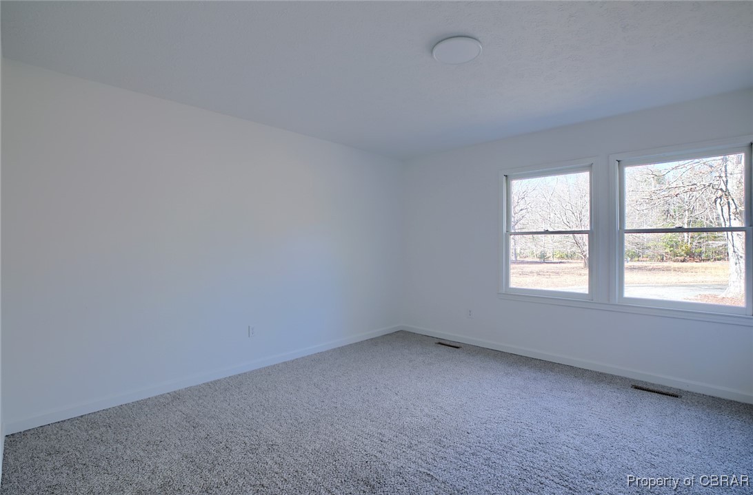 2878 Lees Neck Farm Road Saluda, VA 23149 - Photo 32 of 48