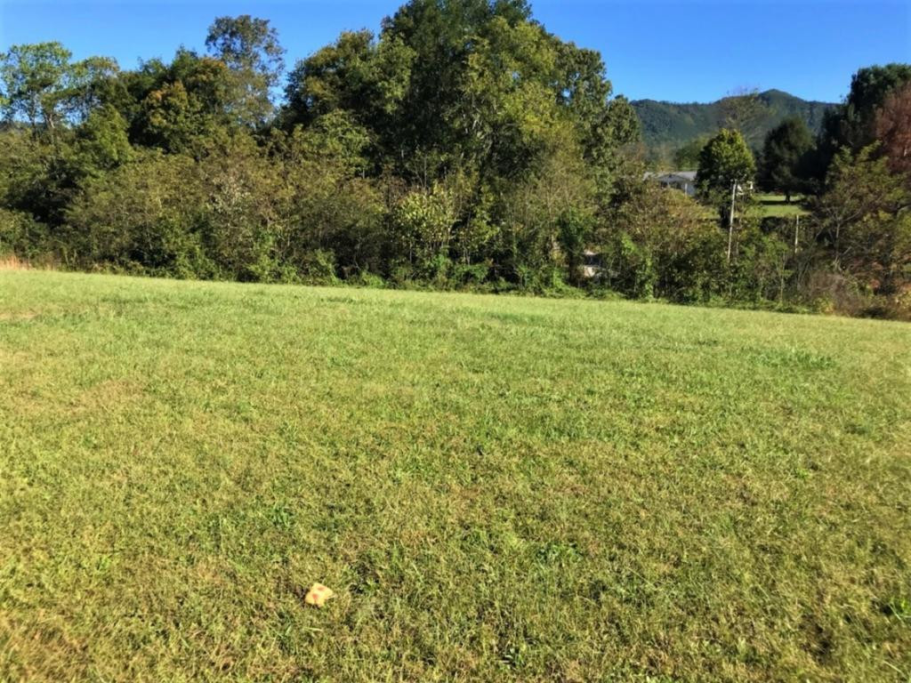 286 Riviera Drive Newport, TN 37821 - Photo 20 of 22 Wooded Area in the Front