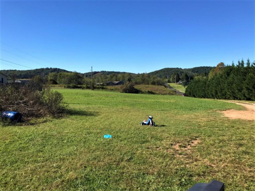 286 Riviera Drive Newport, TN 37821 - Photo 22 of 22 Back Yard